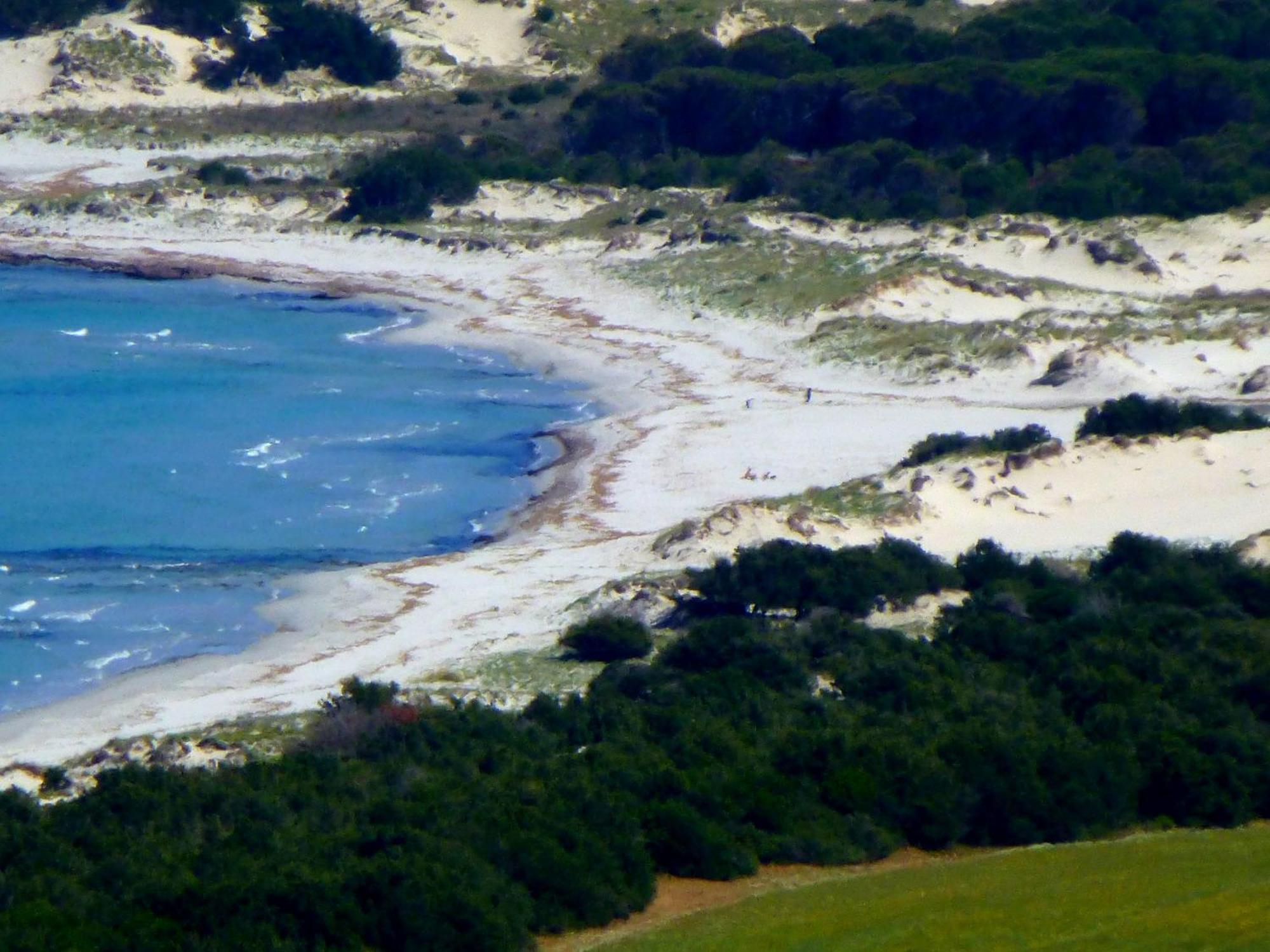 Comino Alto Agriturismo E Appartamenti Синискола Экстерьер фото