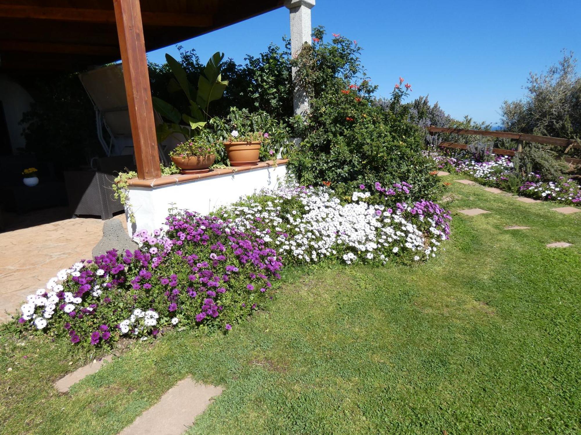 Comino Alto Agriturismo E Appartamenti Синискола Экстерьер фото