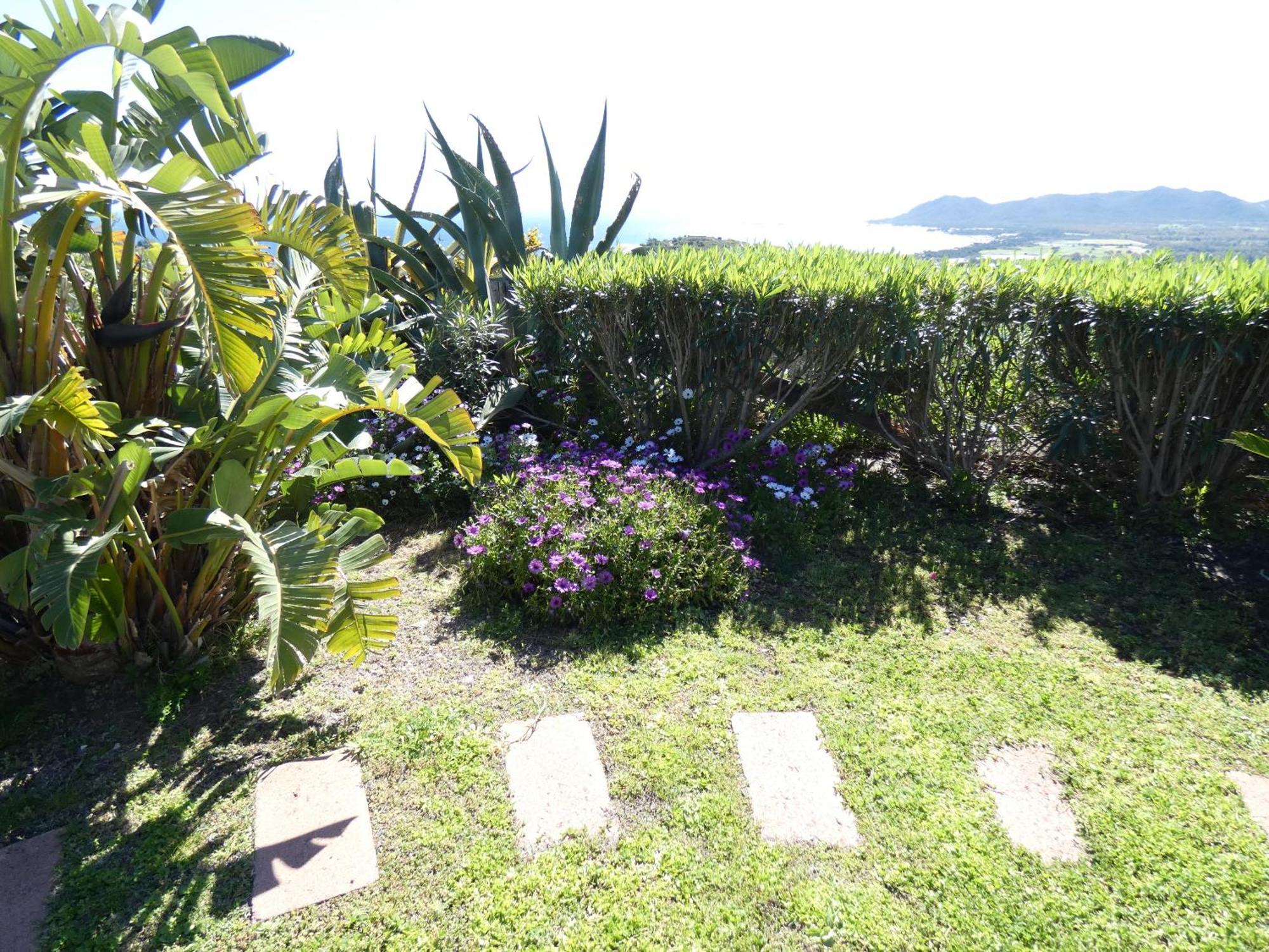 Comino Alto Agriturismo E Appartamenti Синискола Экстерьер фото